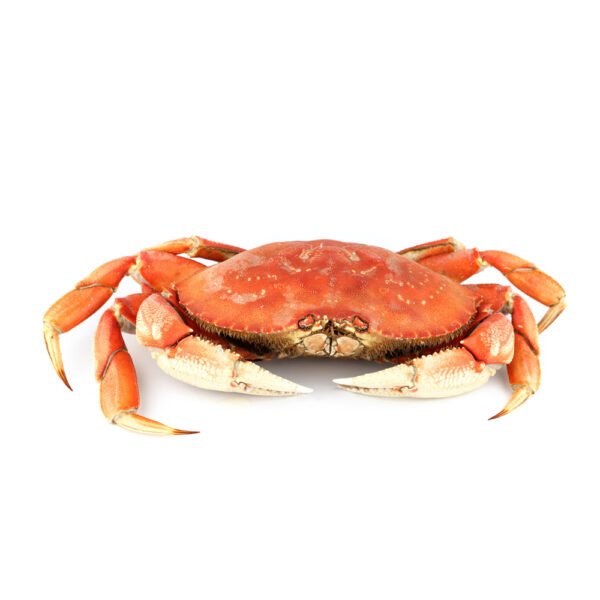 Crab